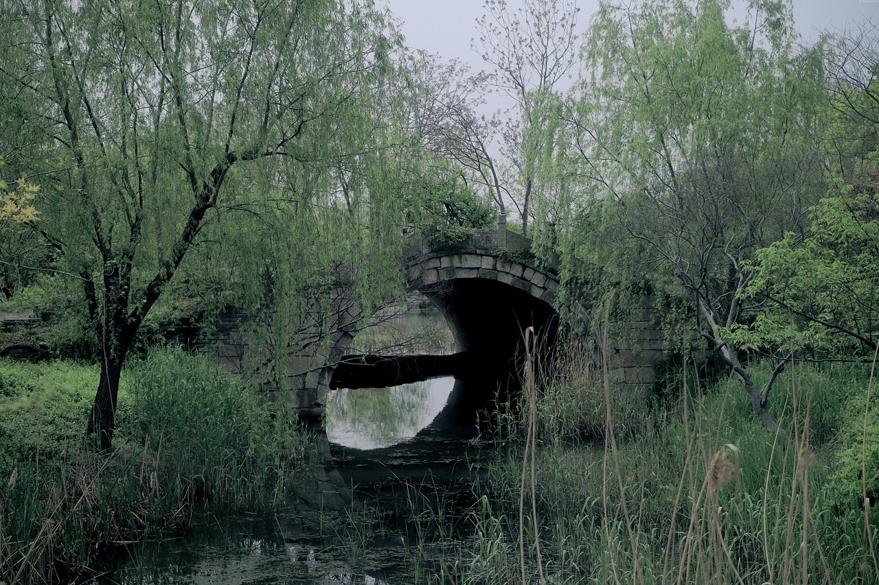 月下猎行封面